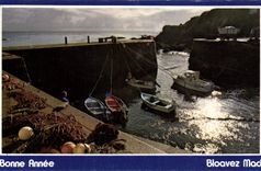 CPM Bonne Annee Bloavez Mad Bateaux 