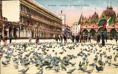 VINTAGE POSTCARD Venezia Piccioni Di Piazza S Marco