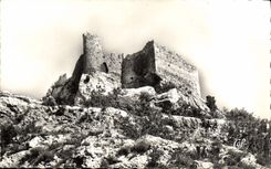 MODERN CARD Fountain Of Vaucluse the Castle De Petrarque