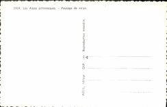 CPM Les Alpes Pittoresques Paysage De Neige