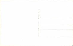 CPM Chenonceaux Chateau