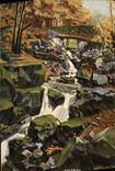 VINTAGE POSTCARD Harzburg Der Riefenbach