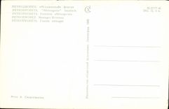 MODERN CARD Petrodvorets Fountain menagerni