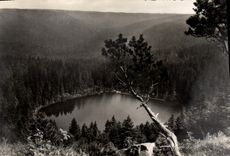 MODERN CARD Ruhestein Der Wildsee