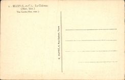 CPA Blois Le Chateau 