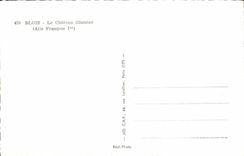 CPM Blois Le Chateau Illumine Aile Francois 1er