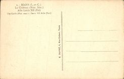 CPA Blois Le Chateau Aile Louis XII