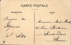 CPA Lourdes Vue Plongeante Sur La Basilique