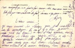 CPA Lourdes La Basilique et le Calvaire Breton