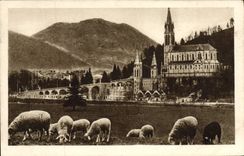 VINTAGE POSTCARD Heavy the Basilica and the Peak Of Jer Sheep