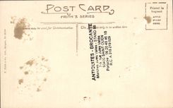 VINTAGE POSTCARD Davnshur Dumplin