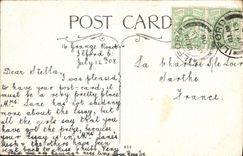 El pío de la POSTAL de la VENDIMIA a través de las tarjetas del día de San Valentín Ilford de los árboles tiene