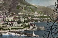 MODERN CARD Monte Carlo the Casino And the Shooting With the Pigeons