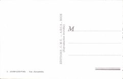 Cuadro total de los pinos de Juan de la POSTAL de la VENDIMIA