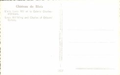 CPM Chateau De Blois L'Alle Louis XII Et La Galerie Charles d'Orleans