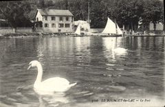 CPA Le Bourget du Lac Cygne Cafe Restaurant Perrier 