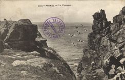 VINTAGE POSTCARD Primel the Crack