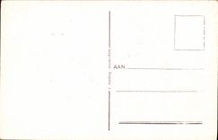 VINTAGE POSTCARD Hollandsche Bloemenvelden