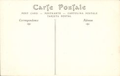 VINTAGE POSTCARD View of the Point Of the Strong current