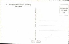 MODERN CARD Benerville on Sea flowers