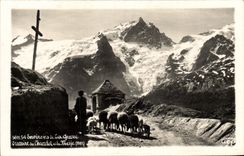 MODERN CARD Surroundings of Serious Chazelet and Meije Shepherd Sheep