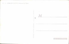 VINTAGE POSTCARD Flower Alpena Anemone