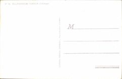 CPA Bulbocodium Vernum Fleur Colchique