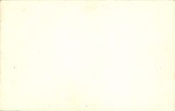 CPA British Museum Bird Gallery Bibliotheque