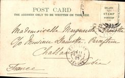 VINTAGE POSTCARD DTafalgar public garden and Nelson' S Column London