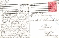 VINTAGE POSTCARD The flower Walk Kensington Gardens London