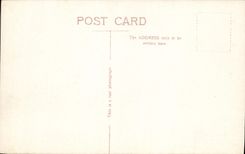 VINTAGE POSTCARD Embankment Gardens London Eros Piccadilly Circus