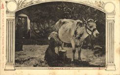 VINTAGE POSTCARD The White Cow Jules Dupre Cow