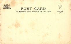 VINTAGE POSTCARD The White Cow Jules Dupre Cow