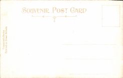 VINTAGE POSTCARD George Municipal And Public garden Glasgow Buildings