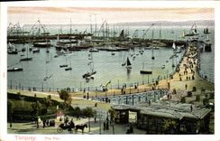 VINTAGE POSTCARD Torquay The Pier Boats