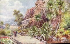 CPA Torquay Rock Walk