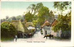 CPA Torquay Cockington Forge Vaches