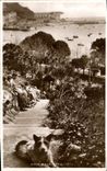 VINTAGE POSTCARD Rock'n'roll Walk Torquay Dog