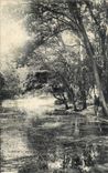 VINTAGE POSTCARD the Bois de Boulogne a corner of the lake Paris