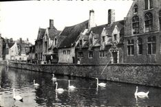 Casa verde de Bruhes Quay de la POSTAL de la VENDIMIA de los cisnes del pelícano