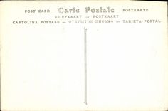 Catedral de la POSTAL de la VENDIMIA de los detalles de Chartres del pórtico de la puerta norteña