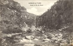 VINTAGE POSTCARD Gorges of the Tarn Before the Step of the Concern