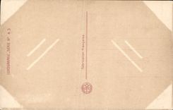 VINTAGE POSTCARD Fantasy the storm Sheep