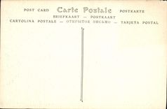 Castillo de la POSTAL de la VENDIMIA del ataque frontal de Amboise en las ventanas del ático de Loire