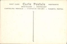 Castillo de la POSTAL de la VENDIMIA del ataque frontal norteño de Chambord a través de los árboles