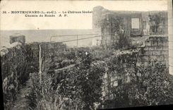 CPA Montrichard Le Chateau feodal Chemin de Ronde