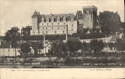 CPA Pau Le chateau 