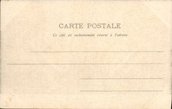 CPA Pau Le chateau 