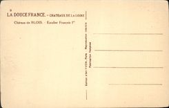 CPA Chateau de Blois Escalier Francois 1er