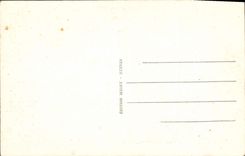 VINTAGE POSTCARD Castle of Chambord Cat